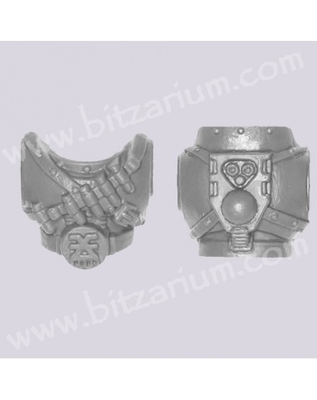 Chest 1