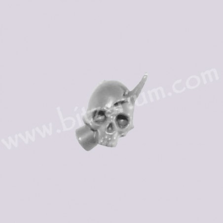 Skull 1 - Raider / Ravager 