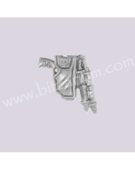 Pistol with Holster 1