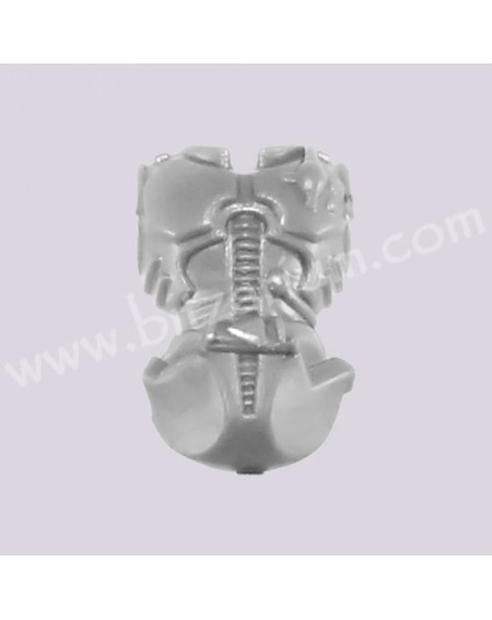 Torse avant masculin 1