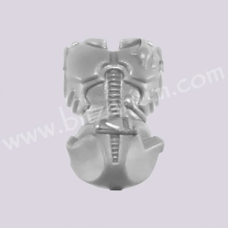 Male front Torso 1