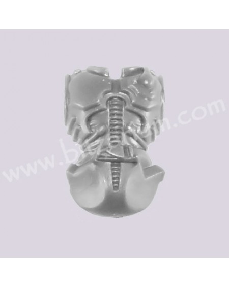 Torse avant masculin 2