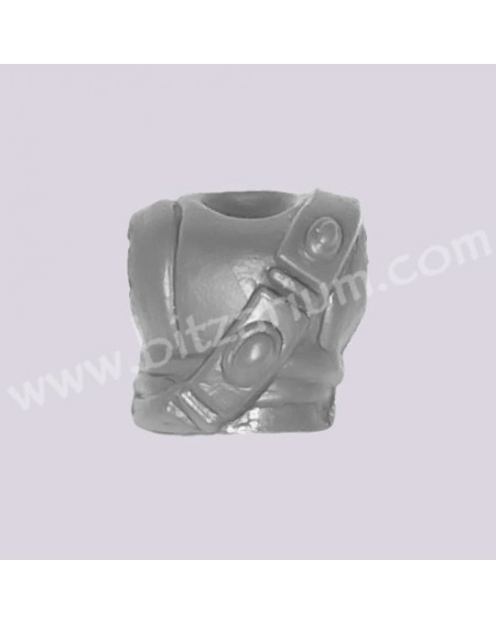 Torso 4