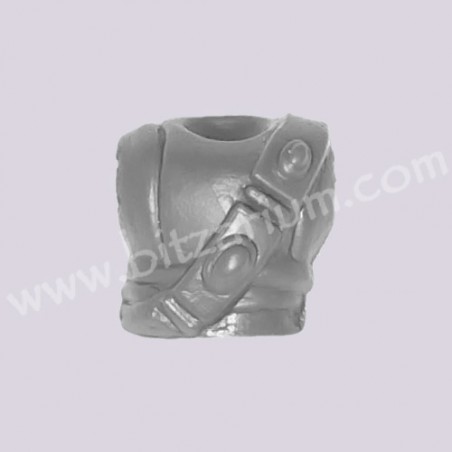 Torse 4