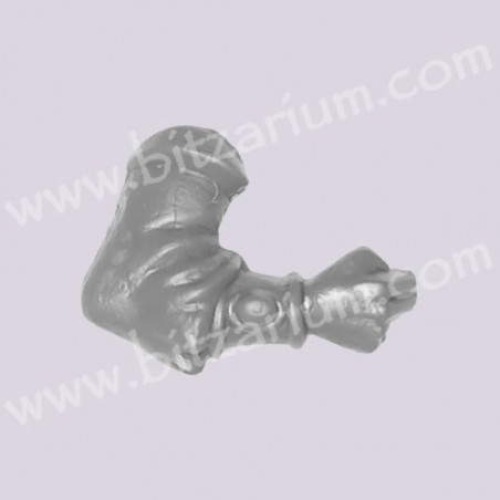 Right Arm 1