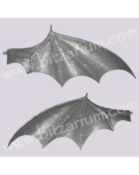 Ailes de Dragon