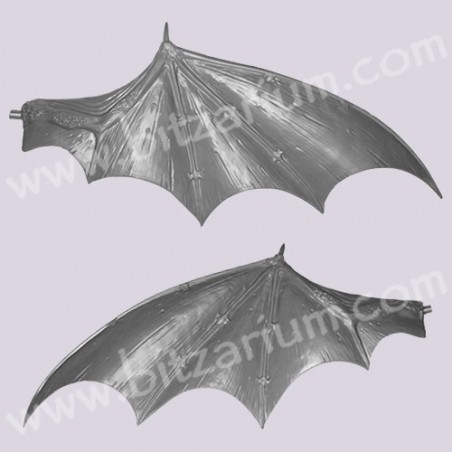 Ailes de Dragon