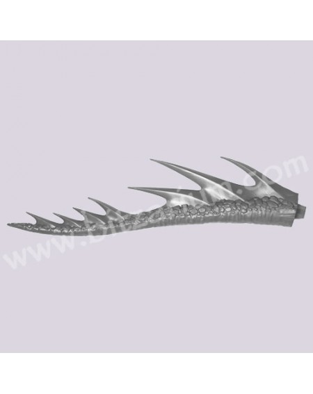 Queue de Dragon 1
