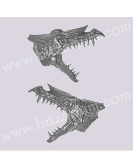 Tête de Dragon 1