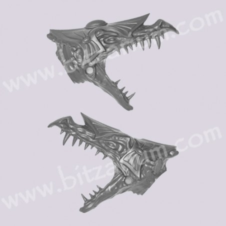 Dragon Head 1