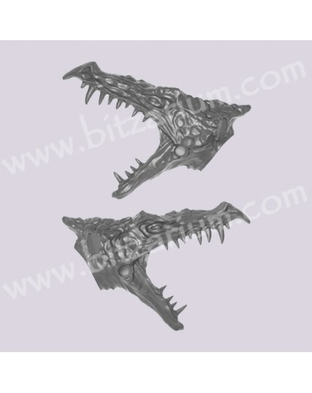 Tête de Dragon 2