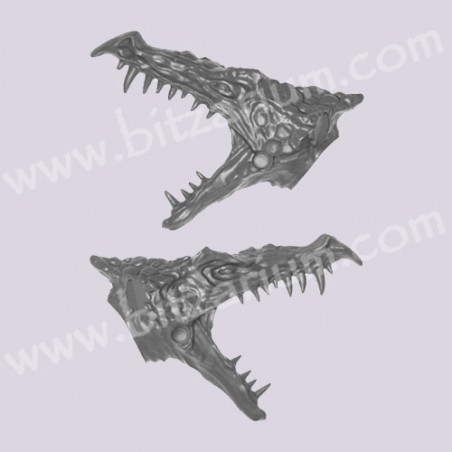Tête de Dragon 2