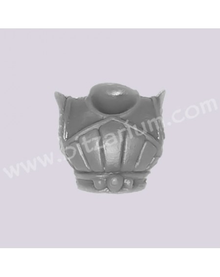 Torse 2