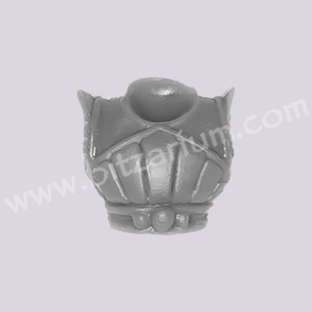 Torse 2