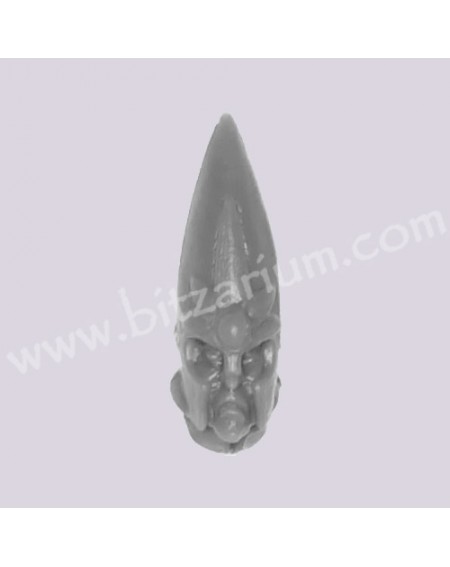 Head 1