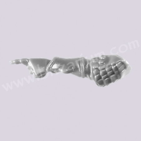 Left Arm - Phoenix Guard