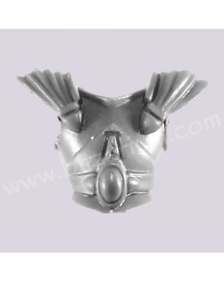 Front Torso 4