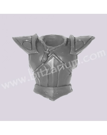 Charioteer Torso