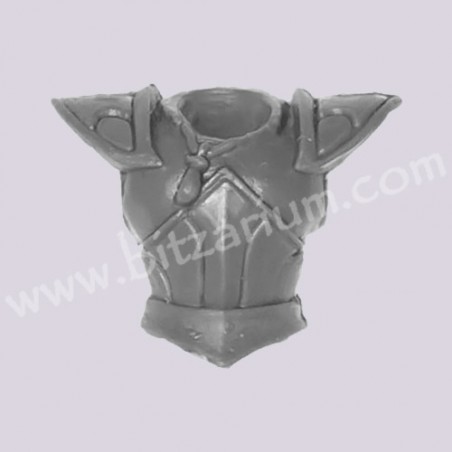 Torse d'Aurige