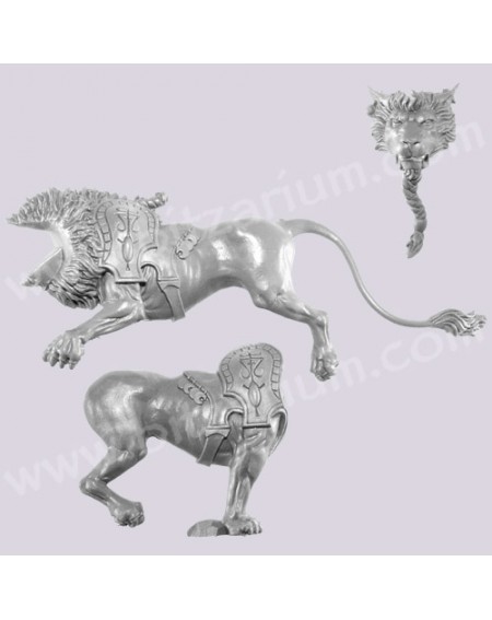 Lion 1