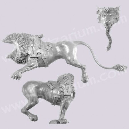 Lion 1