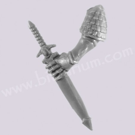 Dagger 2 - Phoenix Guard