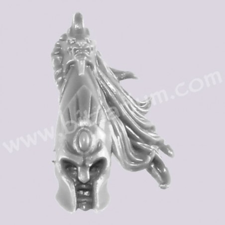 Champion Head 2