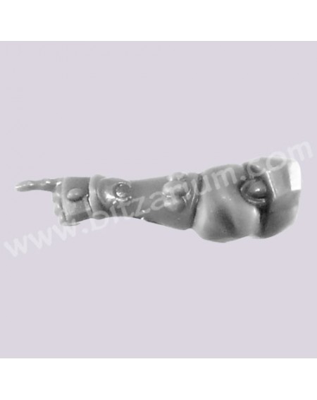 Left Arm 1