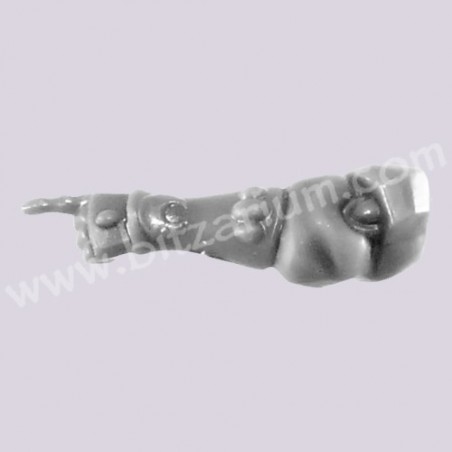 Left Arm 1
