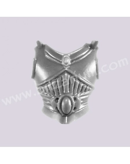 Front Torso 2