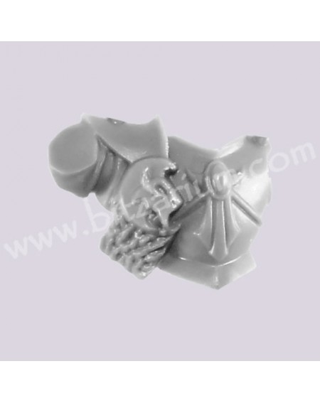 Front Torso 3