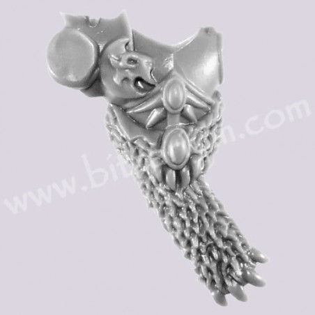 Front Torso 5