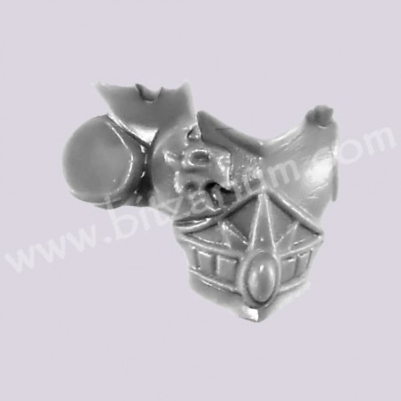 Front Torso 7