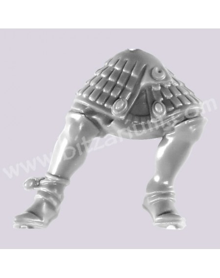 Legs 1