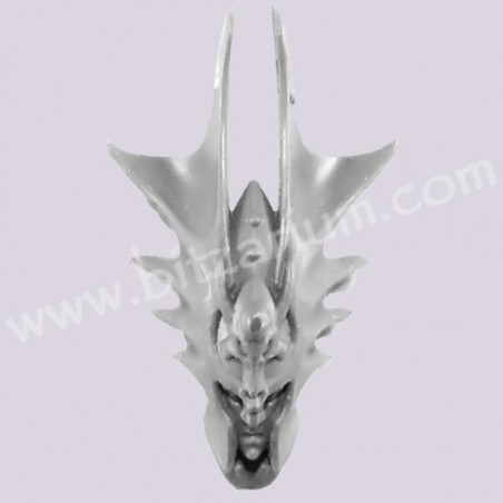 Head 5