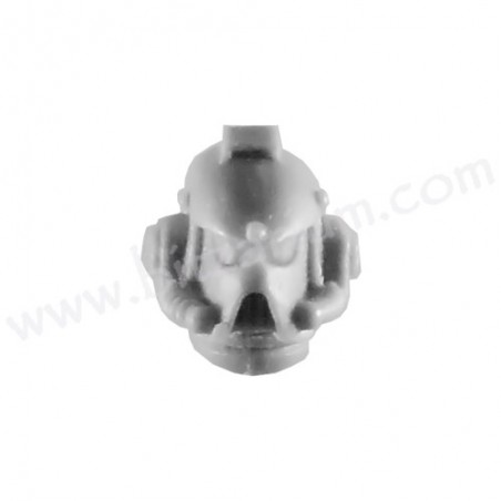 Head D - Legion MK4
