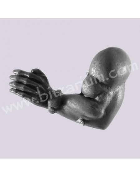Left Arm 3