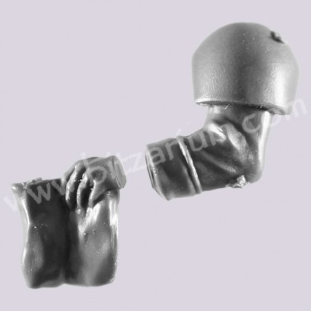 Left Arm 6 - Cadian Command