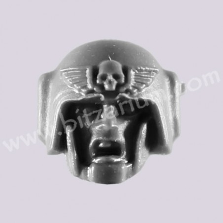 Head 4 - Cadian Command