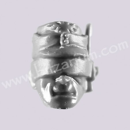 Head 7 - Cadian Command