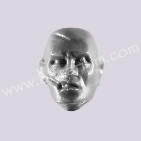 Head 8 - Cadian Command