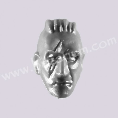 Head 9 - Cadian Command