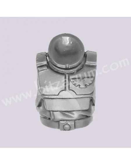 Torso 1