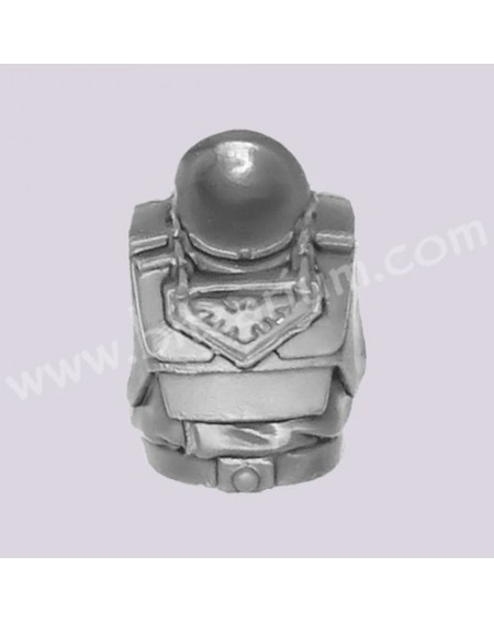 Torso 2