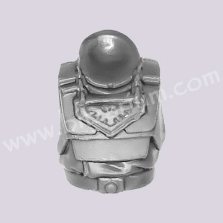Torso 2 - Cadian Command