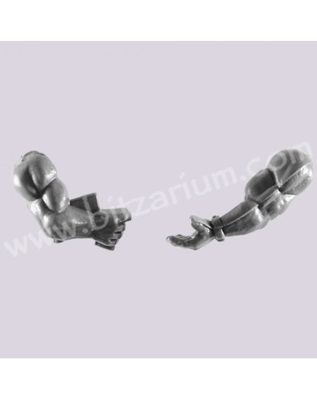 Arms 3