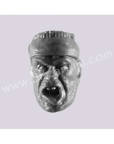 Head 1
