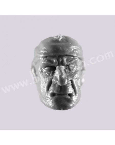 Head 6