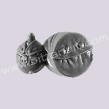 Accessory 1 - Cadian Shock Troops