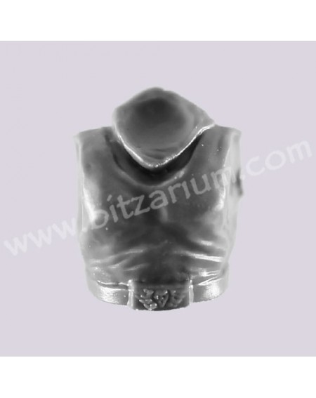Torse 2